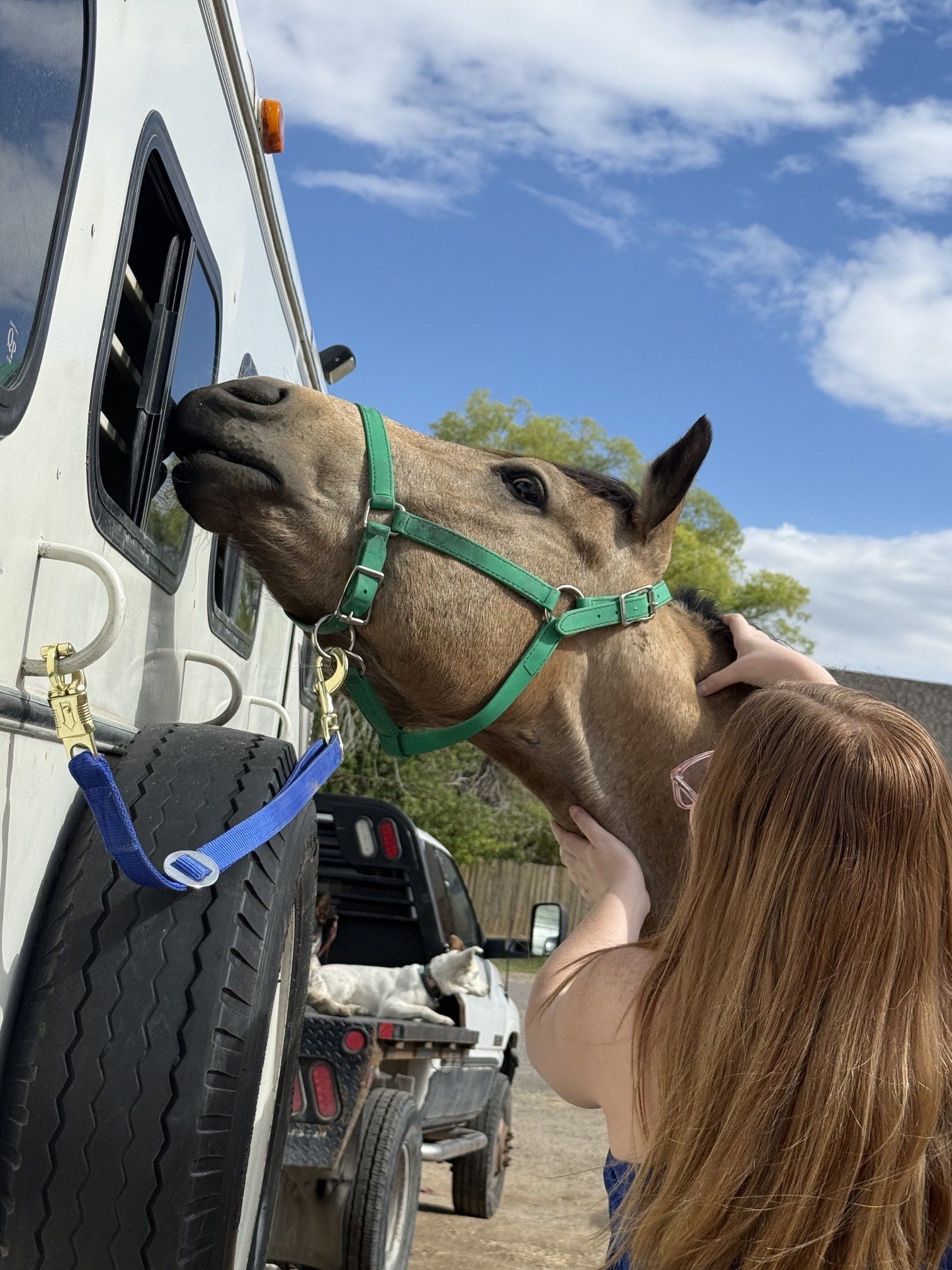 Equine bodywork